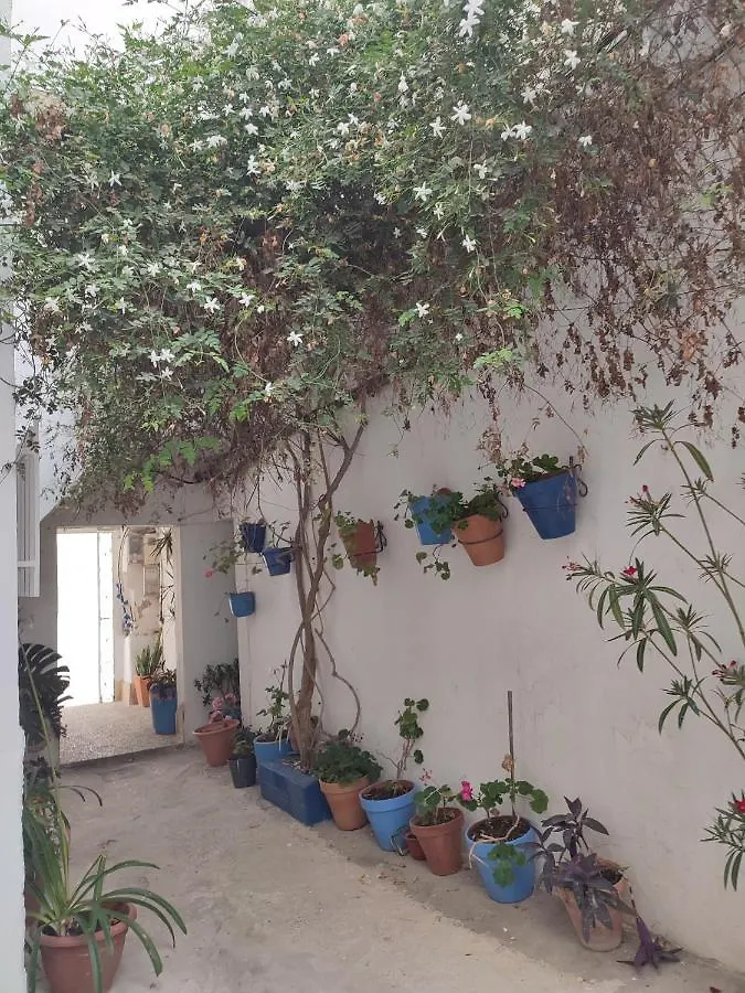 Estudio Recien Reformado En Patio Andaluz Кониль-де-ла-Фронтера Апартаменты